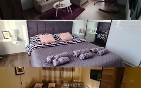 Grey & Sunny Apartments Zajecar